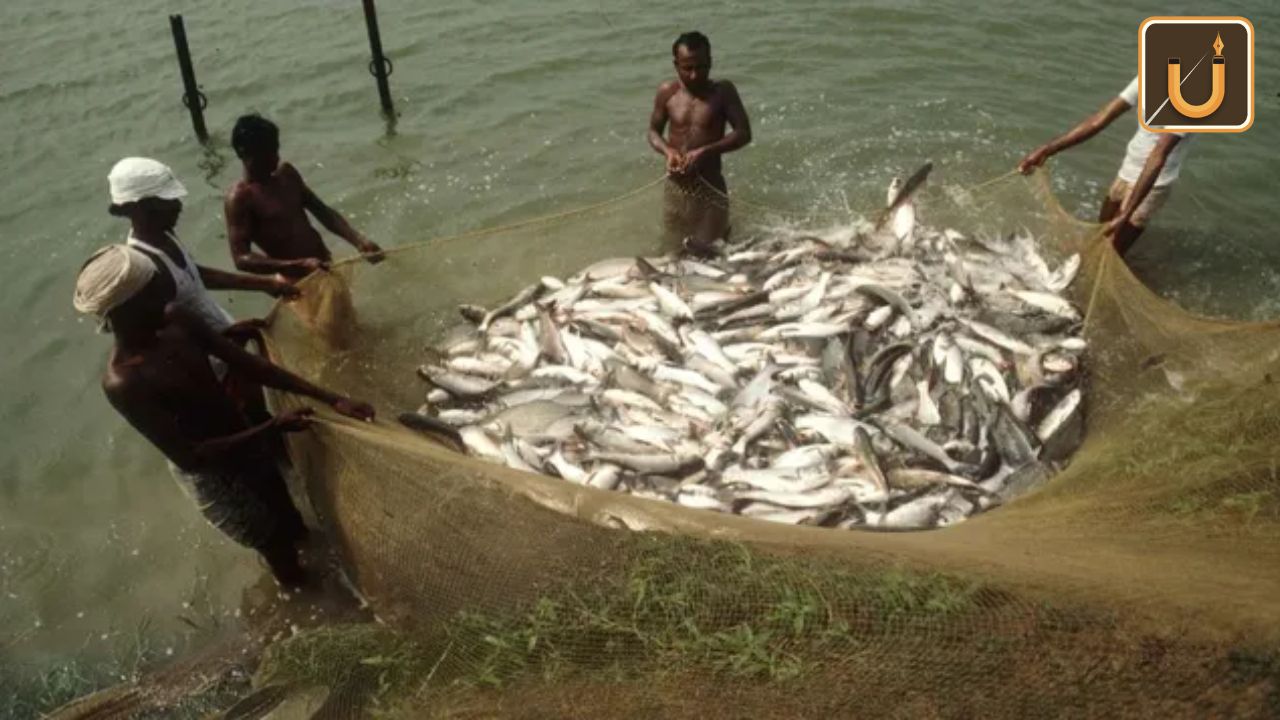 Usthadian Academy / Uttar Pradesh Bags First Prize For Best State In Inland Fisheries | 22 nov 2023 Usthadian Academy / Uttar Pradesh Bags First Prize For Best State In Inland Fisheries
